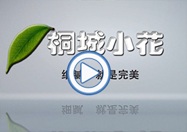 &#31859;&#20848;&#31449;&#32593;&#39029;&#29256;&#45;&#31859;&#20848;&#40;&#20013;&#22269;&#41;